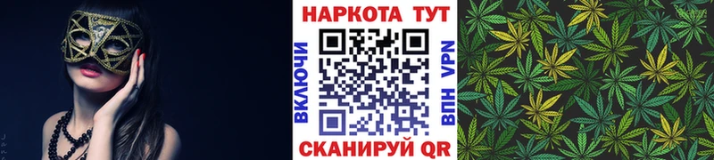 Что такое Новодвинск ссылка на мегу tor  Alpha PVP  ГАШИШ  Cocaine  Экстази 