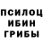 Галлюциногенные грибы мухоморы standov4icus