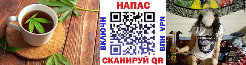 Canna-Cookies марихуана  Новодвинск 