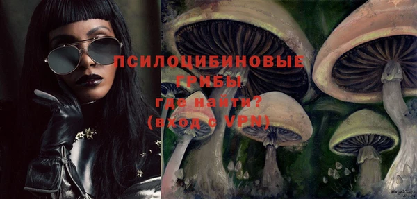 бошки Нея