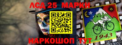трава Гатчина