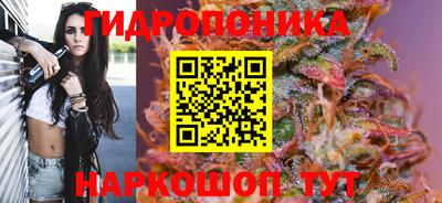 трава Гатчина