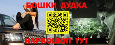трава Гатчина