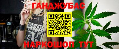 ECSTASY Гай