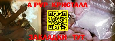 ECSTASY Гай