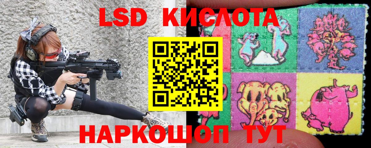 Codein Новодвинск