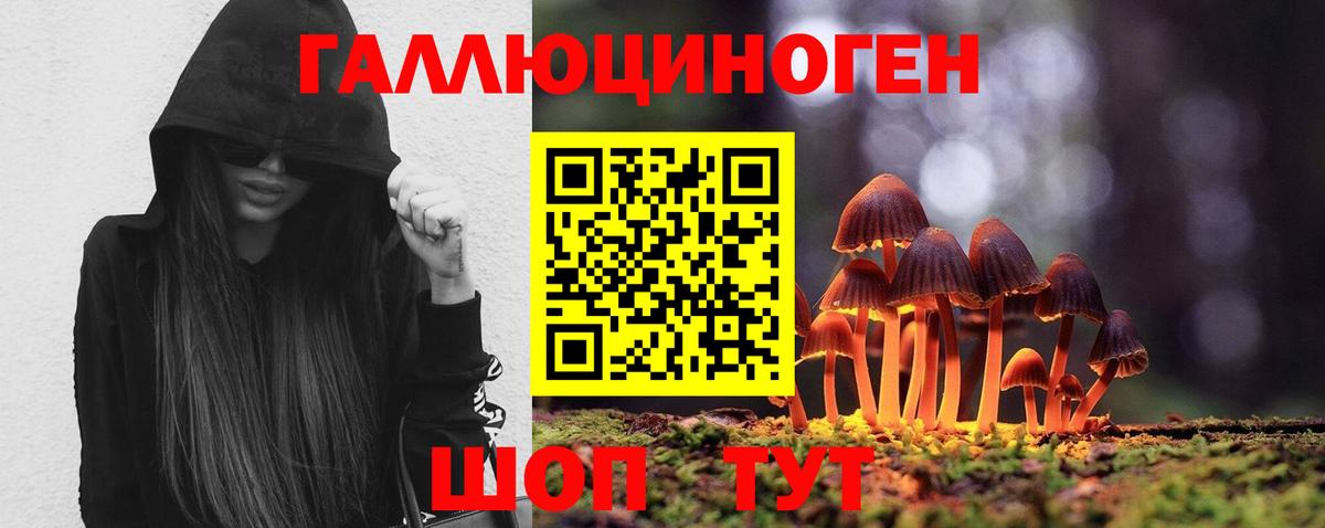 Новодвинск  Галлюциногенные грибы Psilocybine cubensis  Галлюциногенные грибы ЛСД  Вход с VPN 