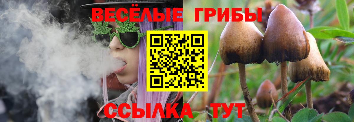 Новодвинск  Галлюциногенные грибы мицелий  Вход с VPN  Галлюциногенные грибы Psilocybine cubensis 